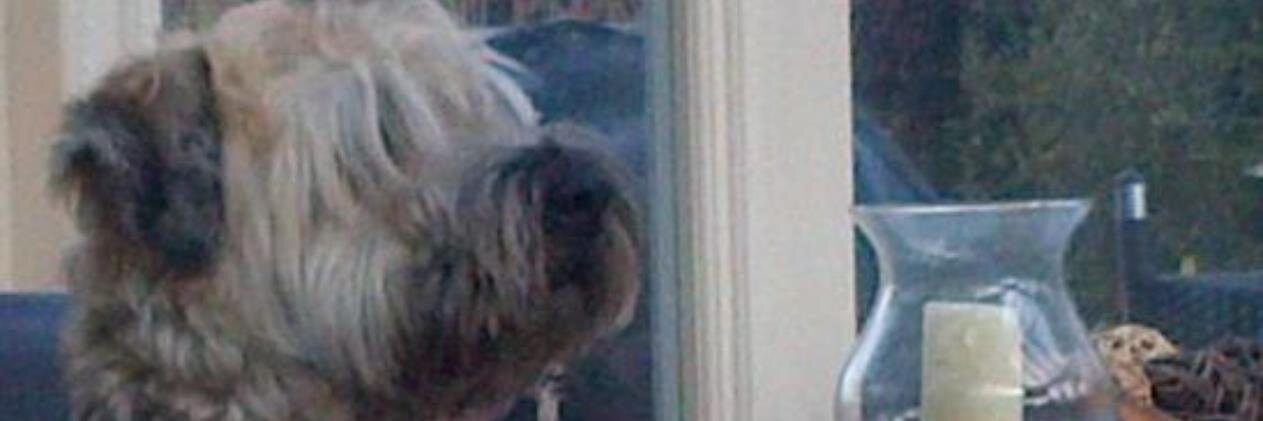 Chris Kirk banner