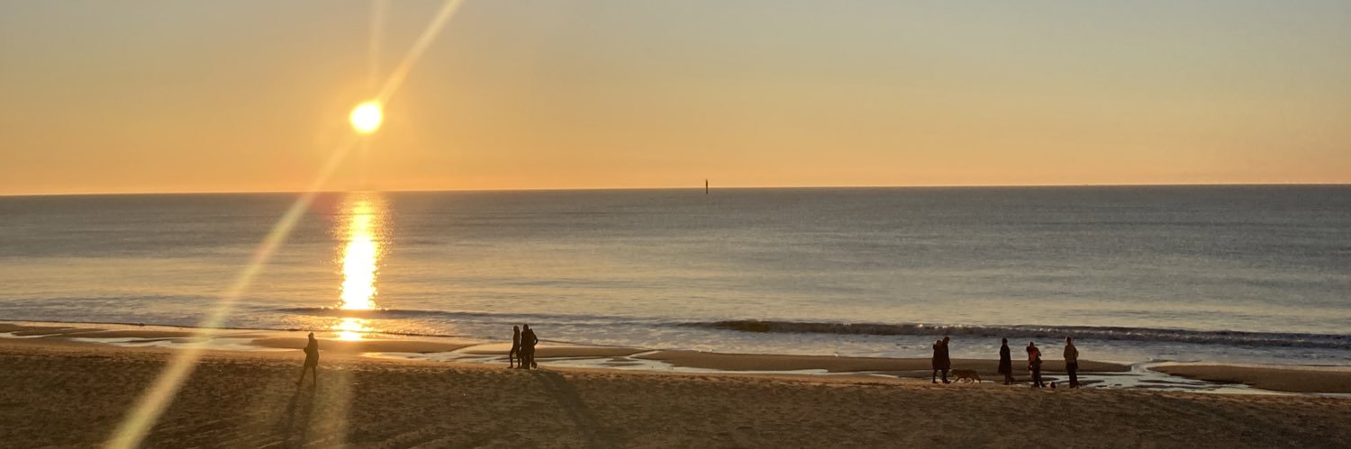 Tina Pickhardt 🦕 banner