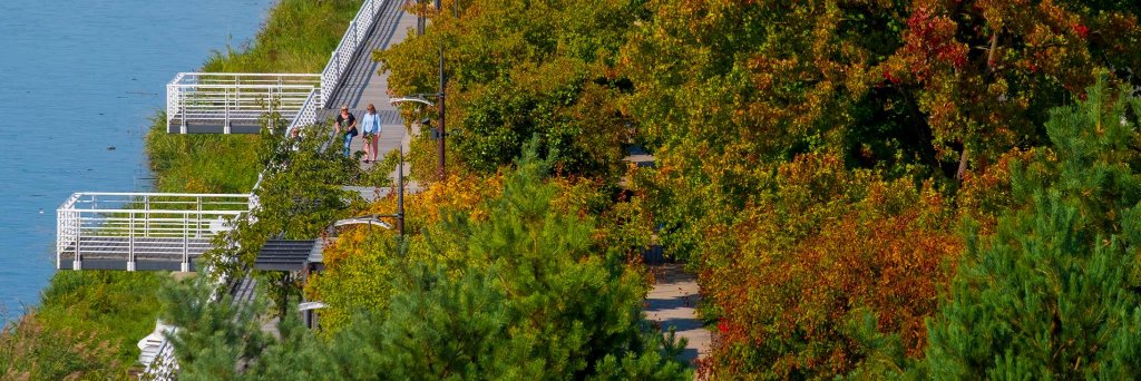 VichyDesti's profile banner image
