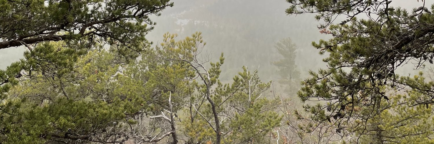 Bridget Williams banner