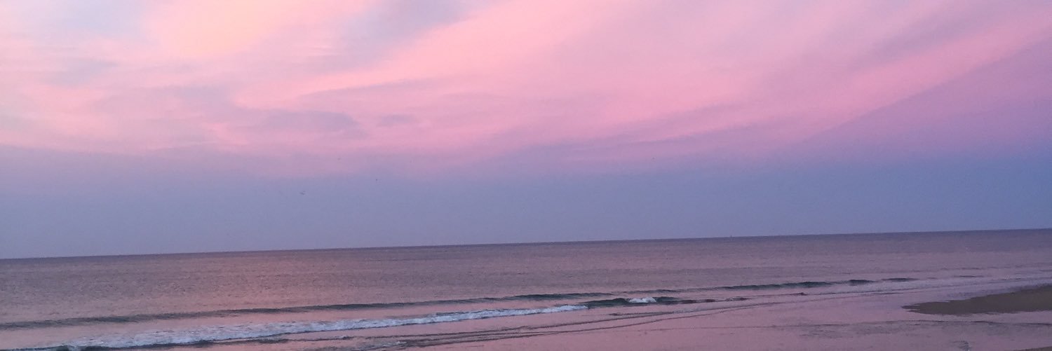 dylanpalluzzi's profile banner image