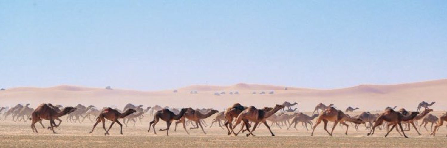 الزبرقان بن بدر banner