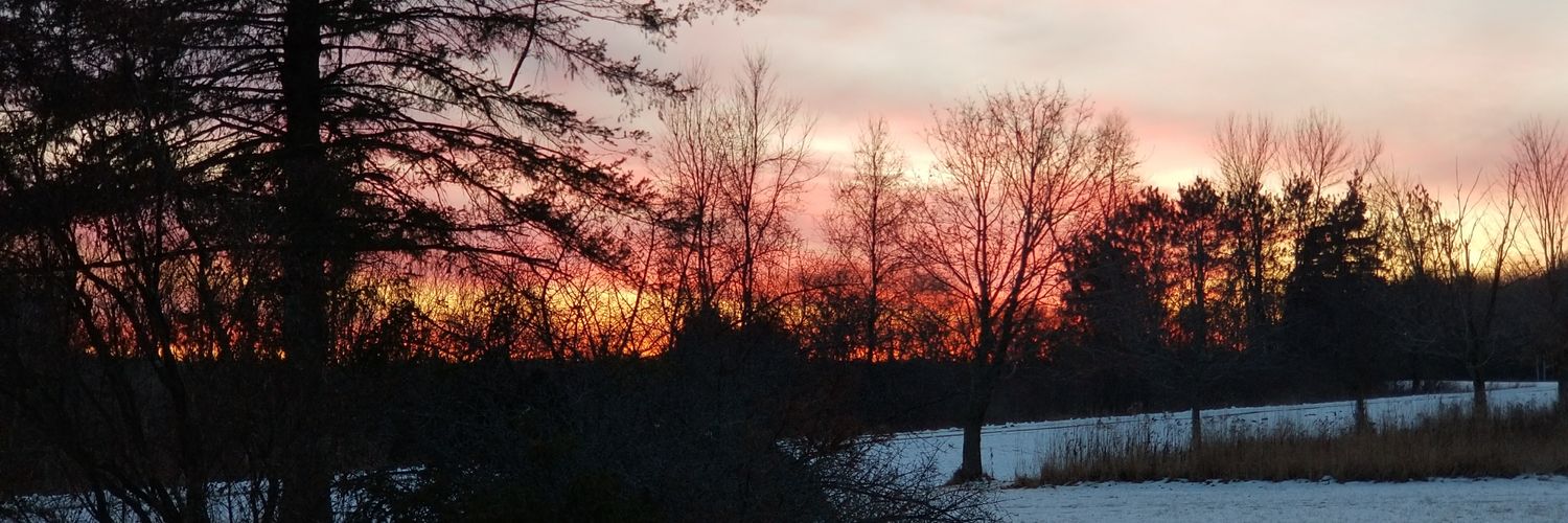 LisaFelger's profile banner image