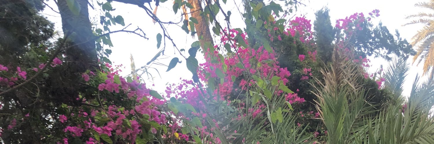 eemilytaay's profile banner image