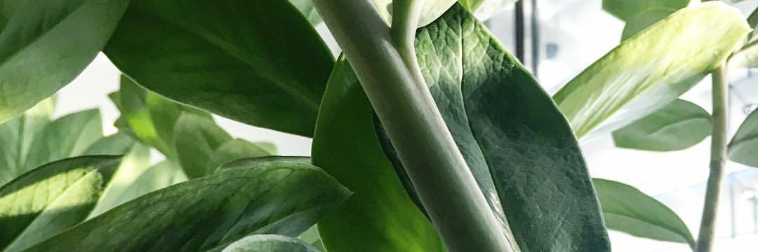 soph_esp's profile banner image