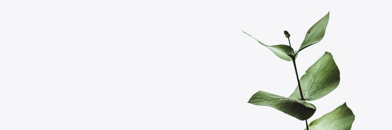 eureka_seamless's profile banner image