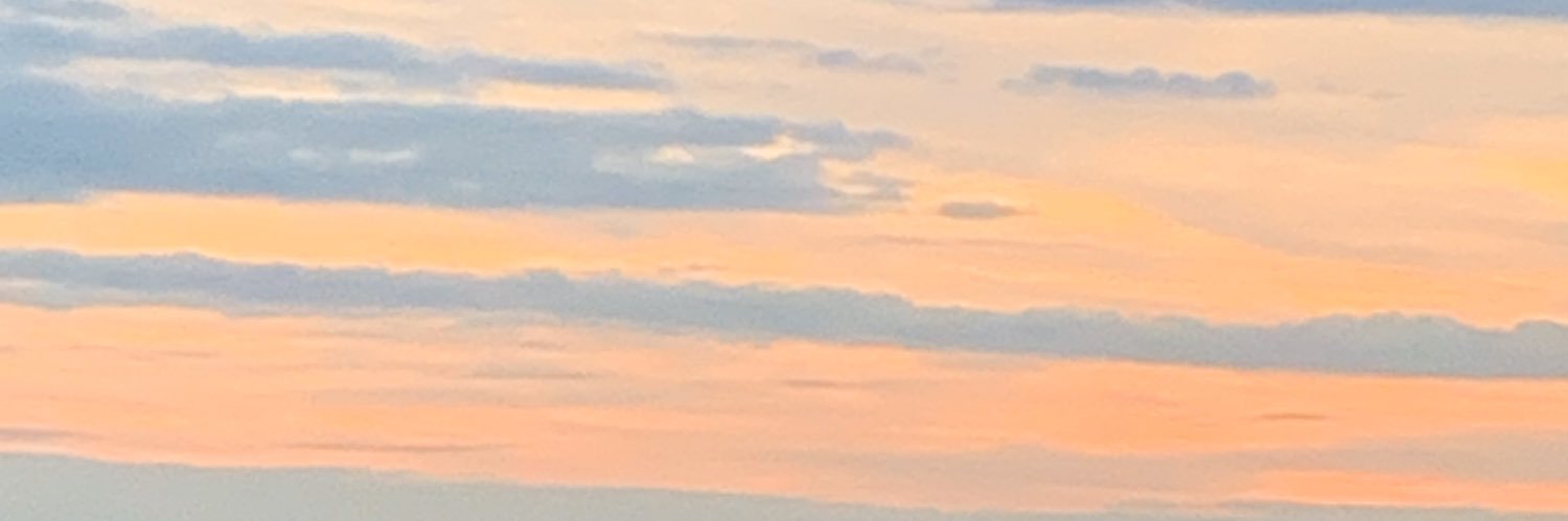 Schuller007's profile banner image