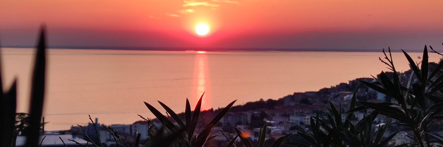 verryfranz's profile banner image