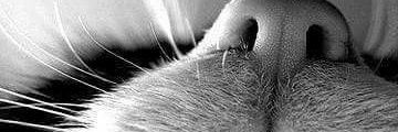 Estefa009's profile banner image