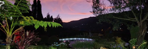 CeciliaLopezM Profile Banner
