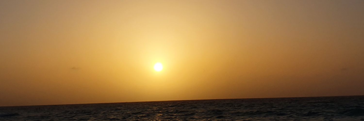 ariamun's profile banner image