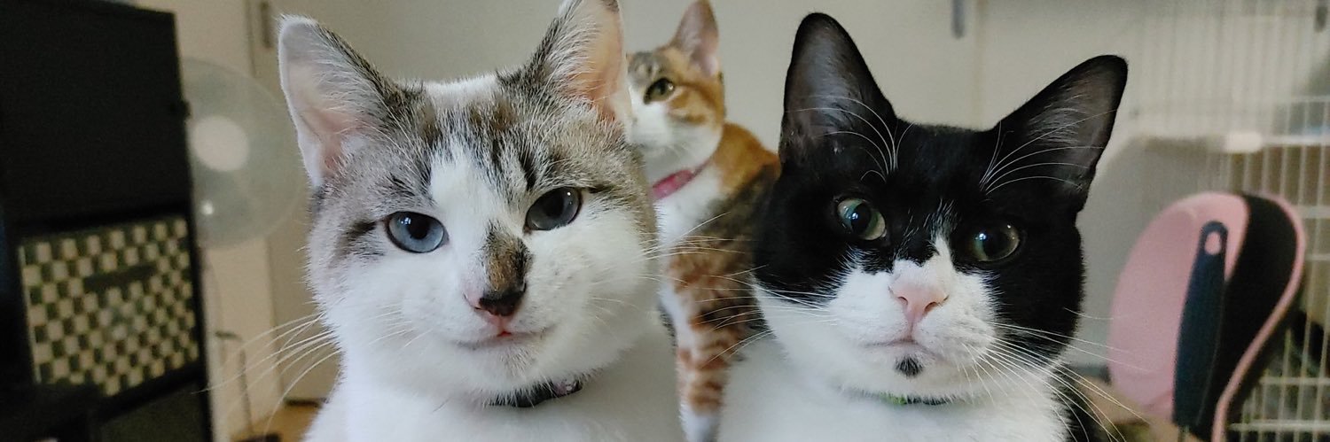 makeme_beginjk's profile banner image