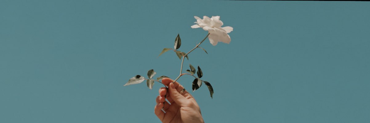 Kendalljacobs_'s profile banner image