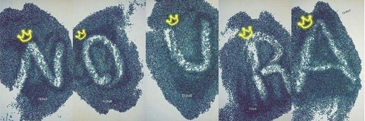 NOUIIX_'s profile banner image