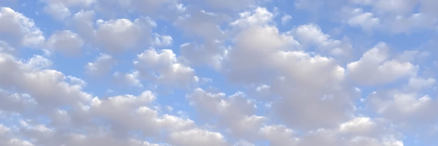 as91u's profile banner image