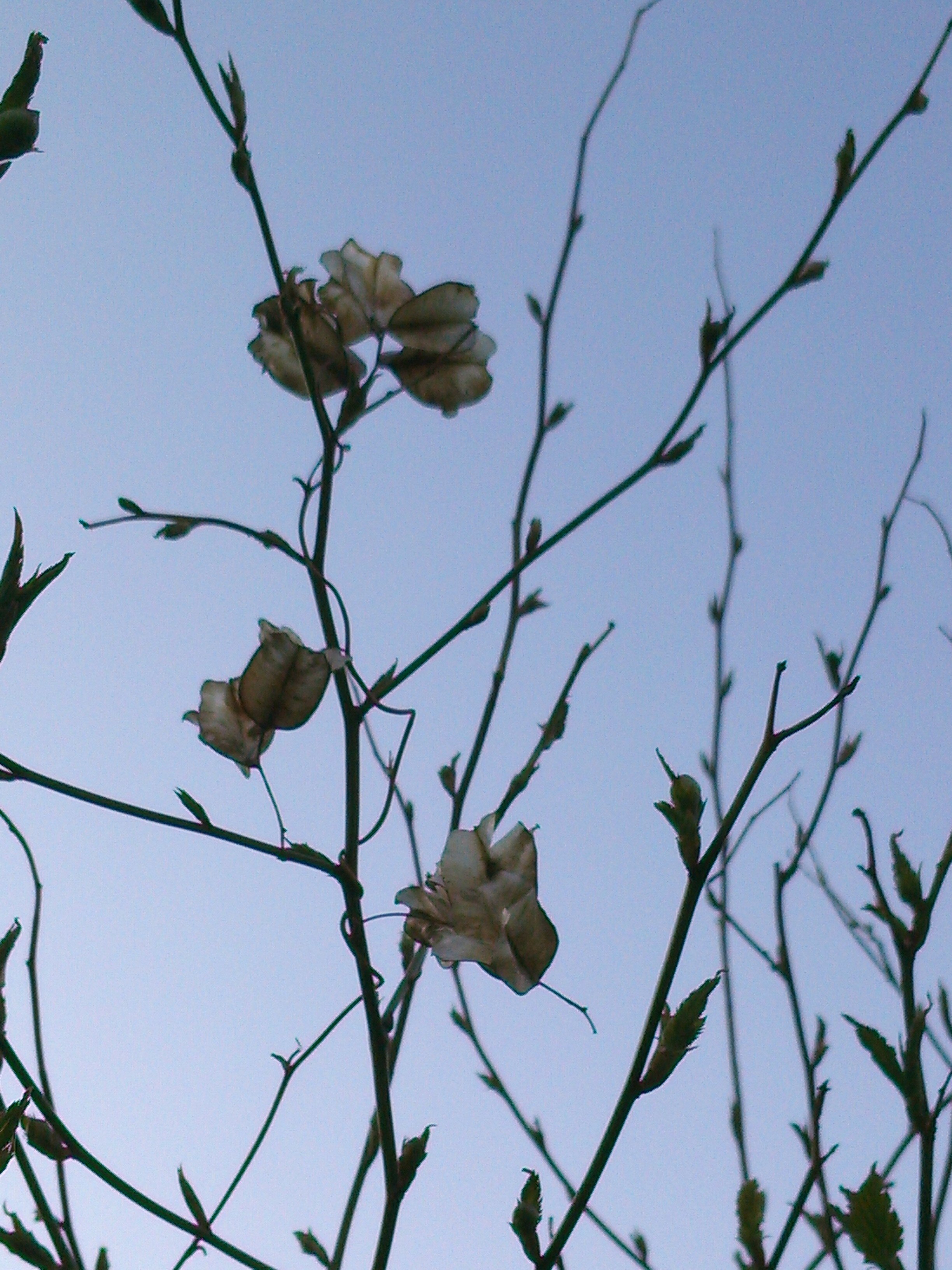 yoshikawa_f's profile banner image