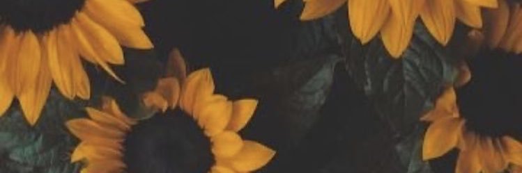 elisaconsaiz's profile banner image