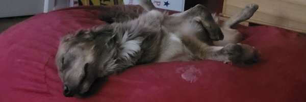 Chris_Kelly24 Profile Banner