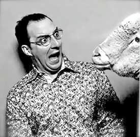 T.me/trumpburn banner