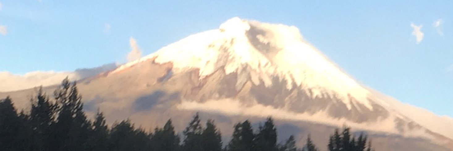 gordoiturralde's profile banner image