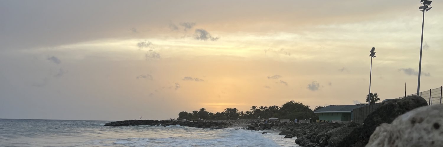 SharonProfar's profile banner image