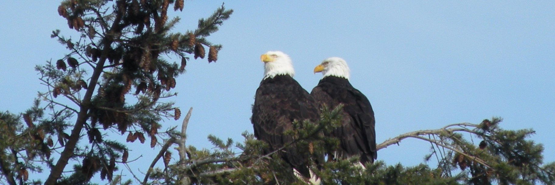 WashingtonInn's profile banner image