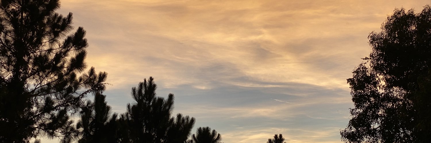 REALderryT's profile banner image
