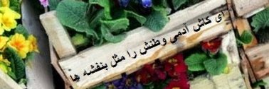MehrdadS46's profile banner image