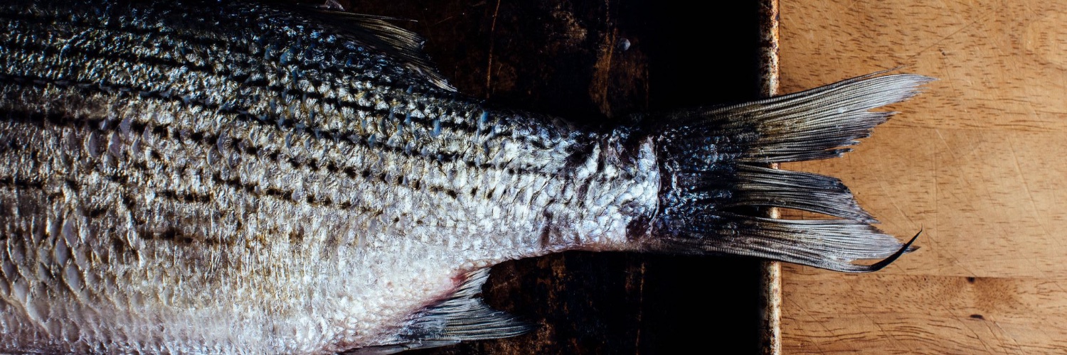 Alabama Seafood banner