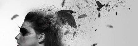 anna_carolyne's profile banner image