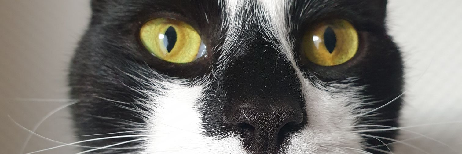 tmlx's profile banner image