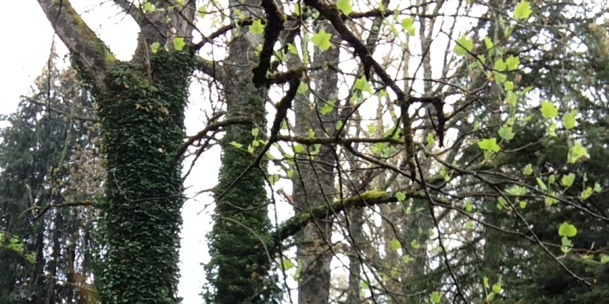 EerojasO's profile banner image