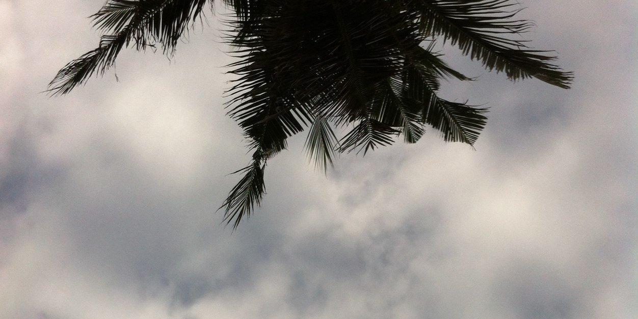 MShifoo's profile banner image