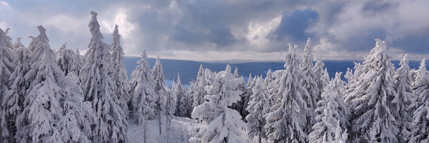DaniPradova's profile banner image