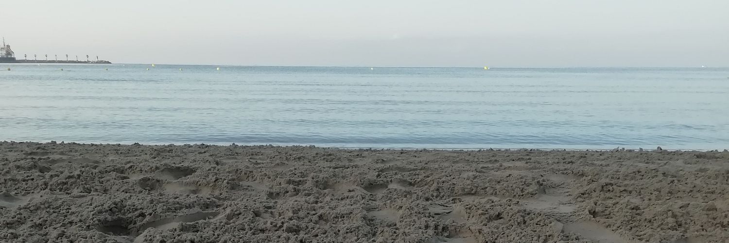 srtaantal's profile banner image