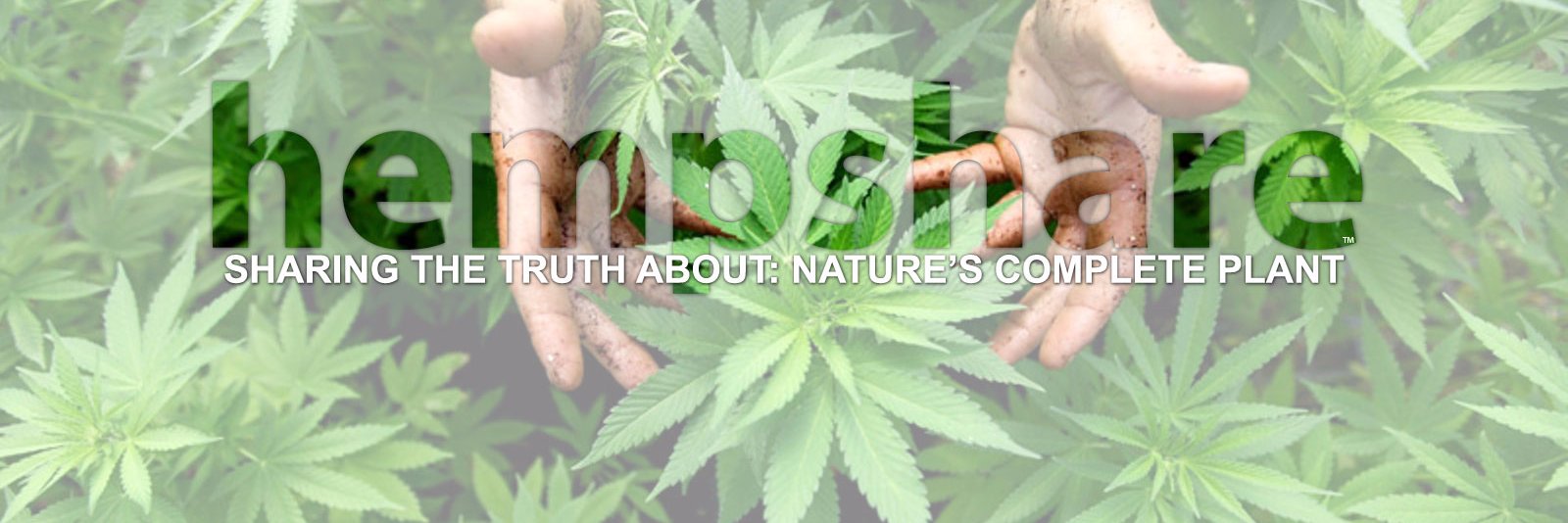 HempShare's profile banner image
