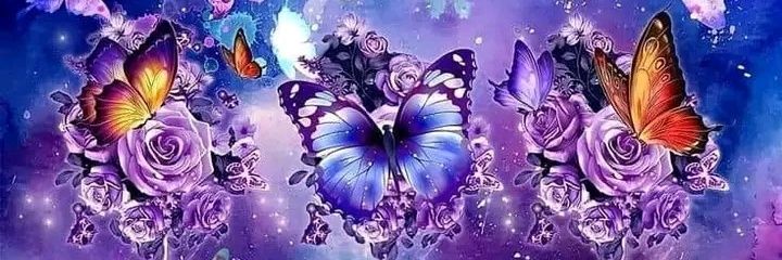 SumayahTheBee's profile banner image