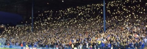 caroline gray banner