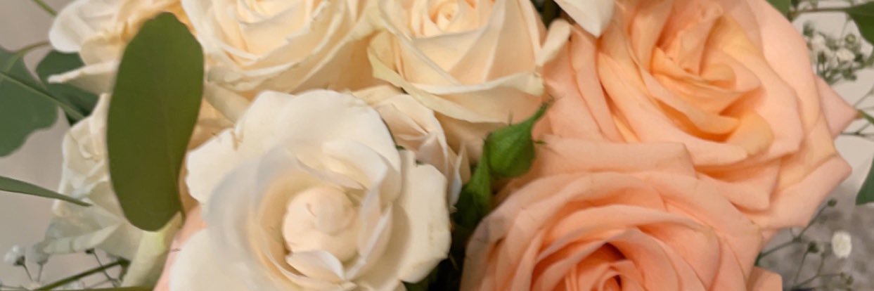 ally_deniro's profile banner image