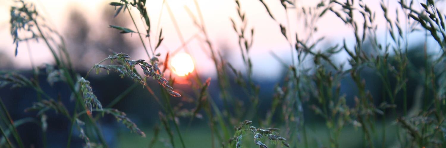 mjamespete's profile banner image