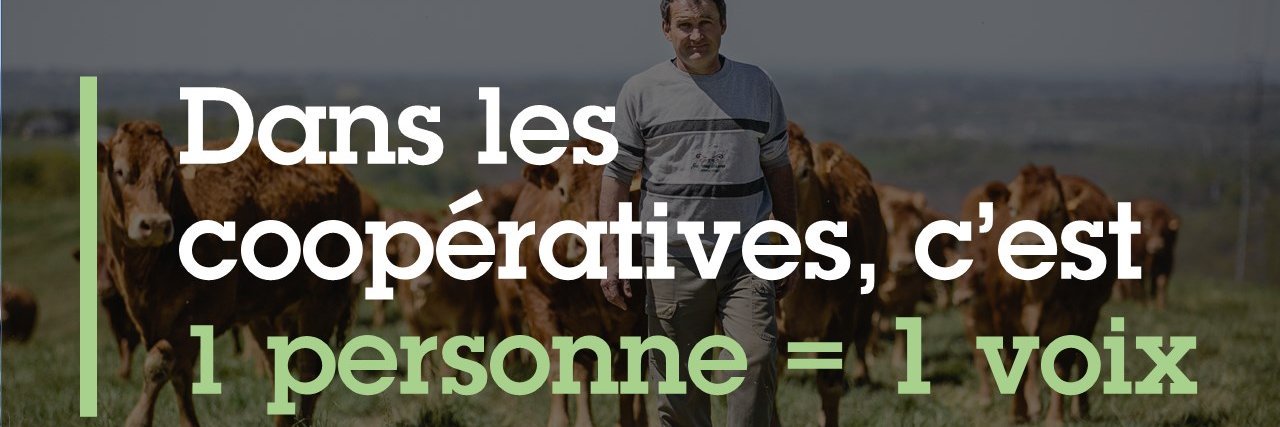 Thibault Bussonnière banner