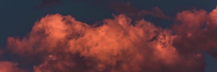 محمد السريع banner