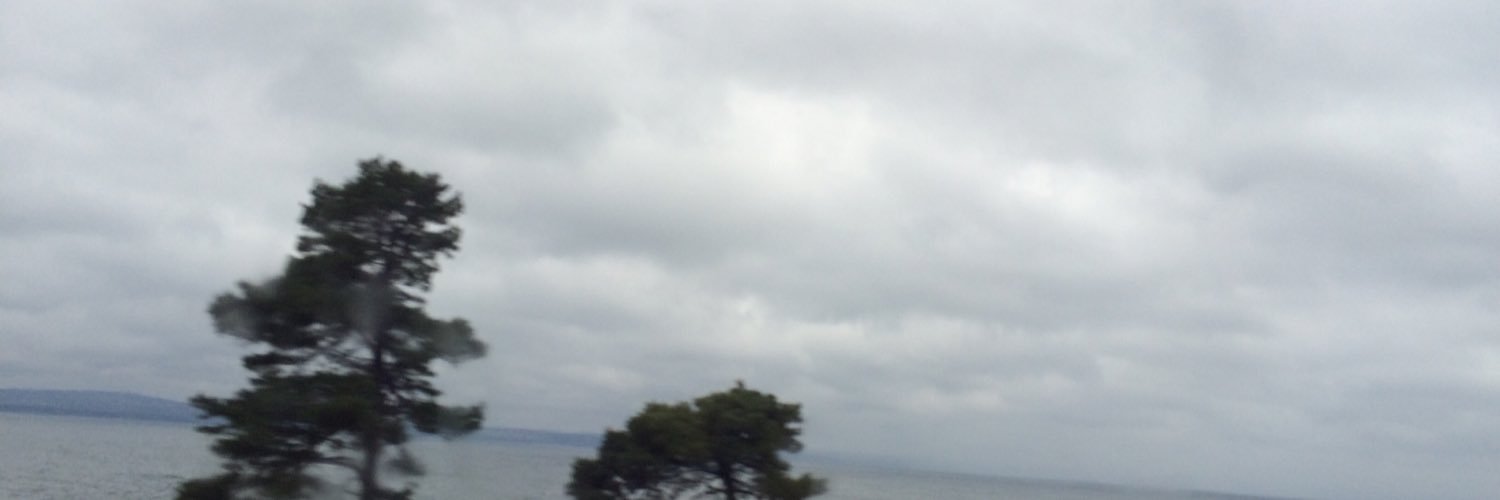 Old Gray banner