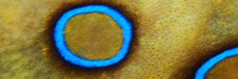 assume_not's profile banner image
