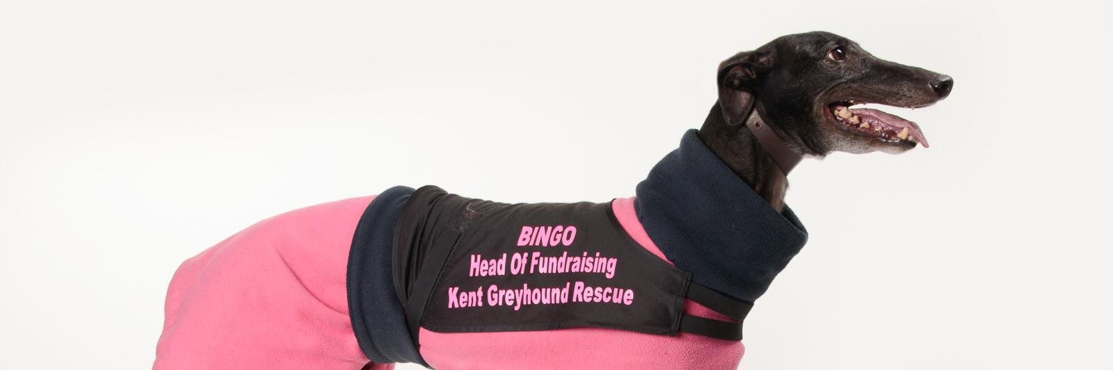 KentGreyhoundRescue banner