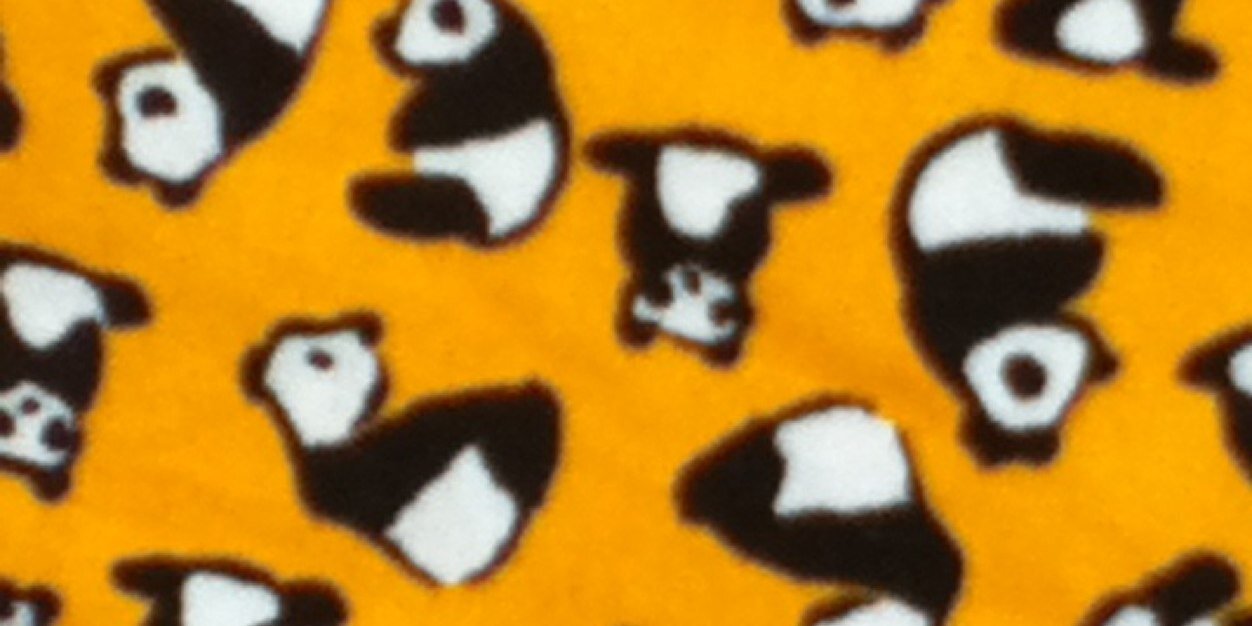 Muushuius's profile banner image