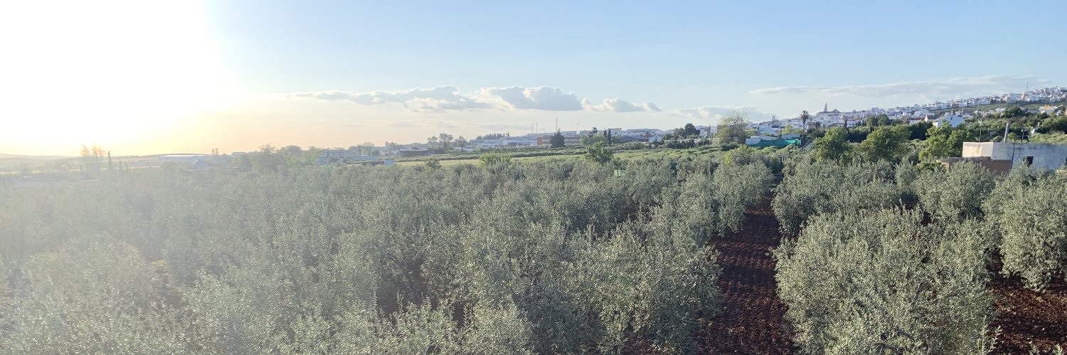 OfficialSantini's profile banner image