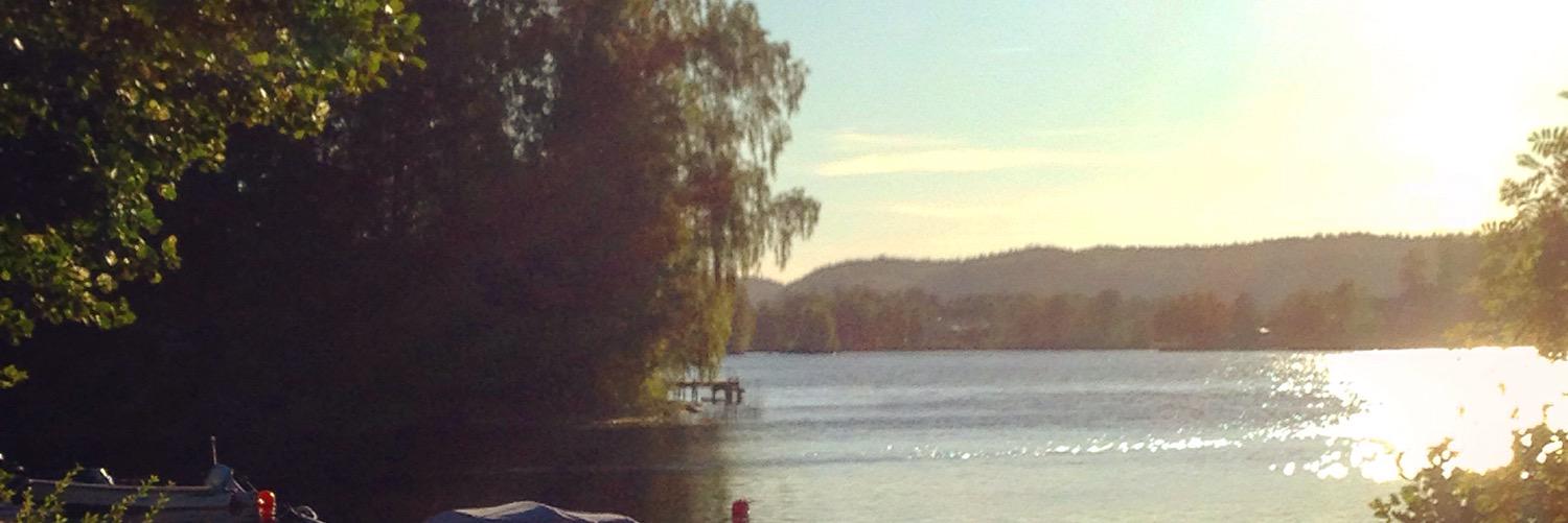 Hanna Holmén banner