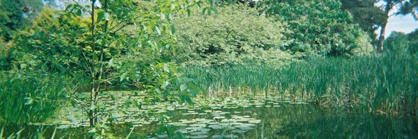 CatherineMariaJ Profile Banner