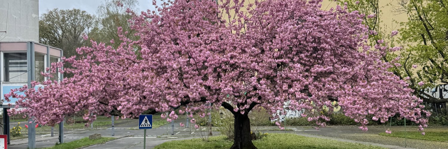 Ferit (at 🏠) 🌙 🧪 banner